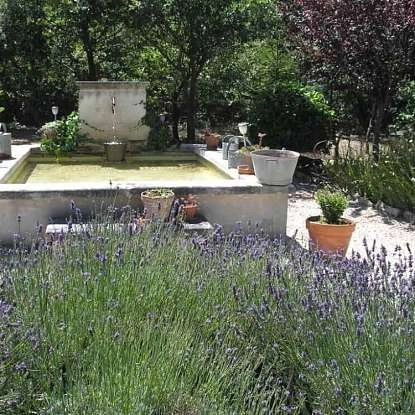 Le clos des lavandes-Chambres de charme-Luberon