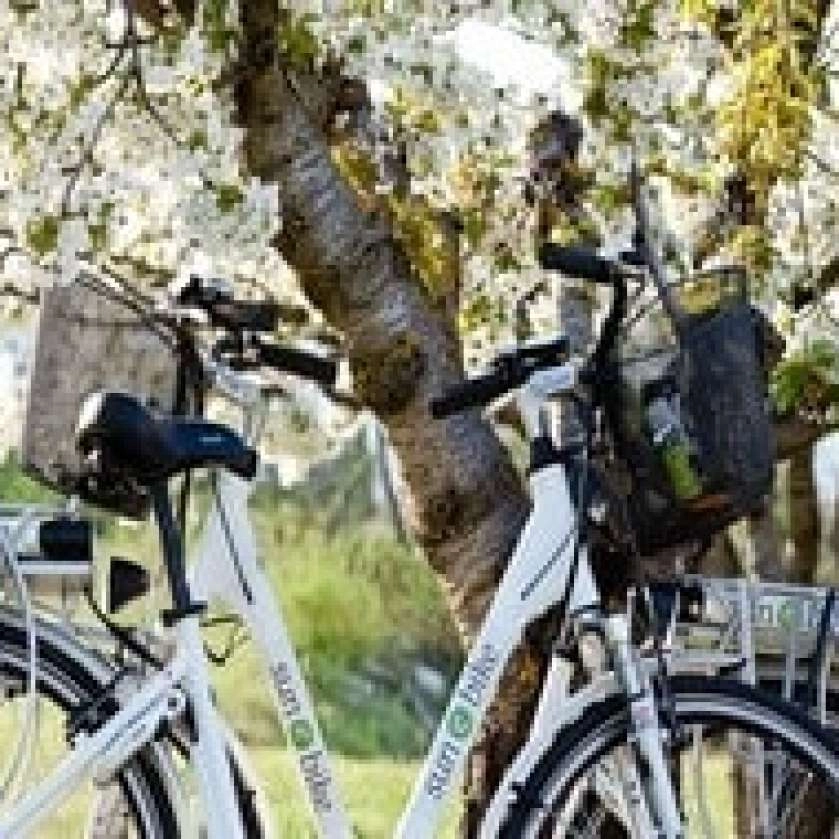 sun e bike 5-min.jpg