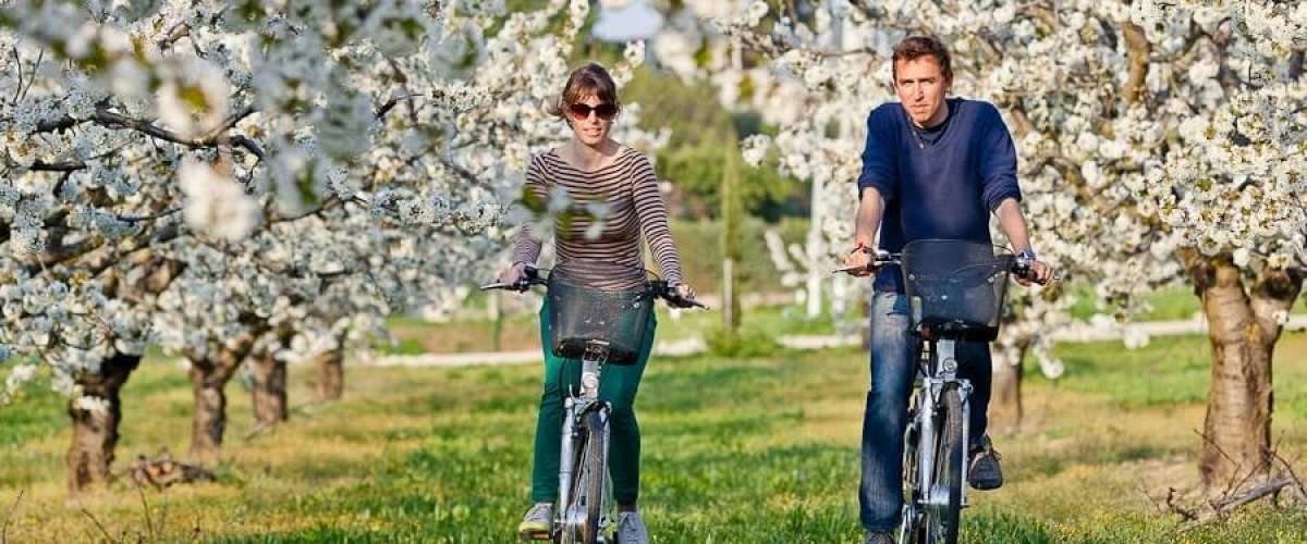 location de vélo à Sun e-bike