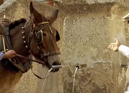 duplicate_La Gloire de Grambois - Sud Luberon