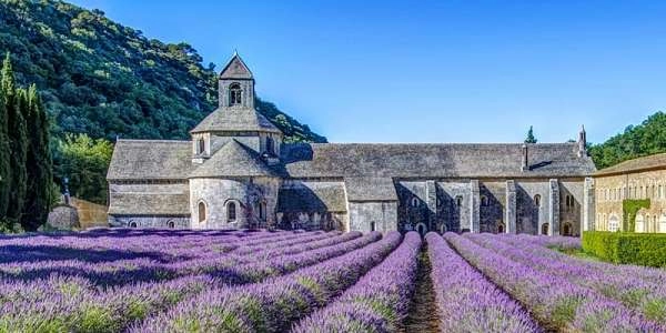 Visite guidée de l'Abbaye de Sénanque