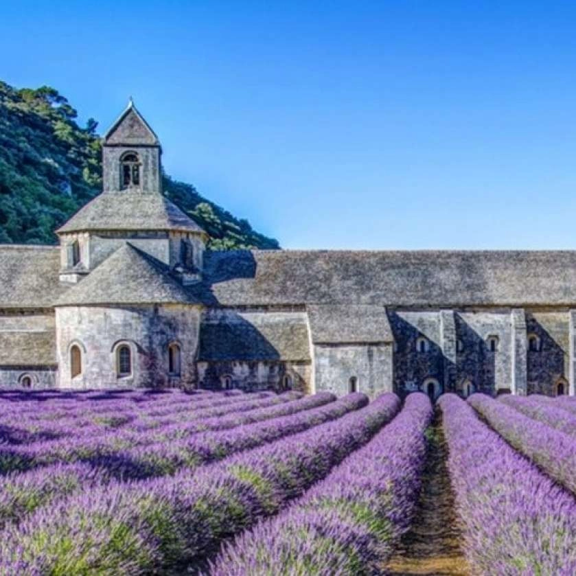 Abbaye Notre-dame de Sénanque dans le Luberon
