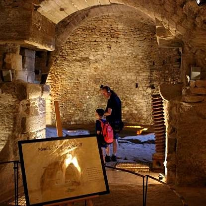 Visite des caves du palais Saint-Firmin à Gordes