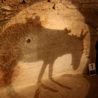 Visite des caves du palais Saint-Firmin à Gordes