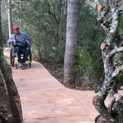 La forêt de cèdres du Luberon accessible aux personnes handicapées