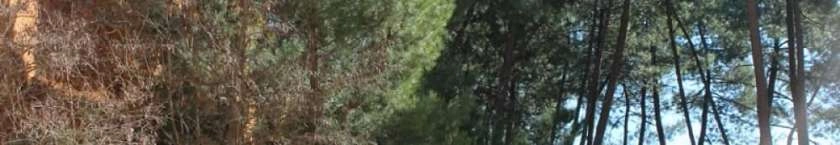 Mines d’ocre de Bruoux, visite des galeries d'ocre