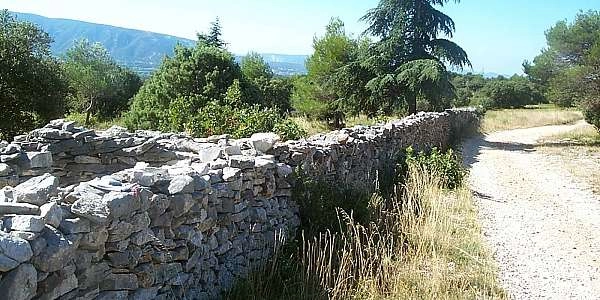 Randonnée sur les traces du Mur de la Peste 