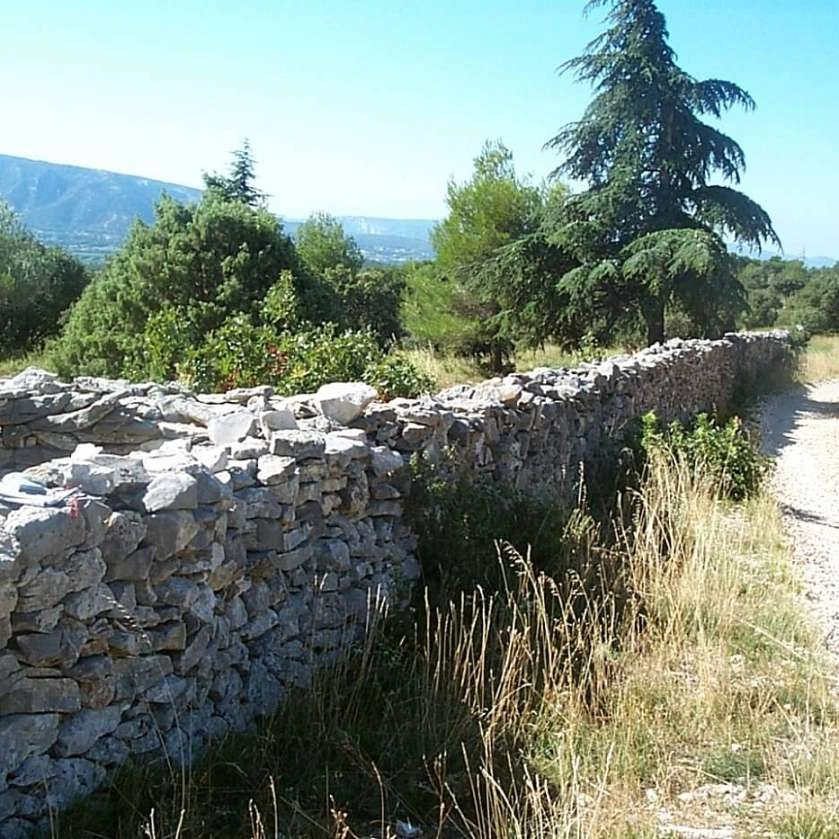 Mur de la peste dans le Luberon - pierres sèches