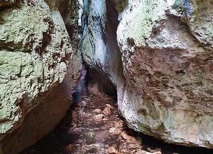 gorges regalon 1.jpg