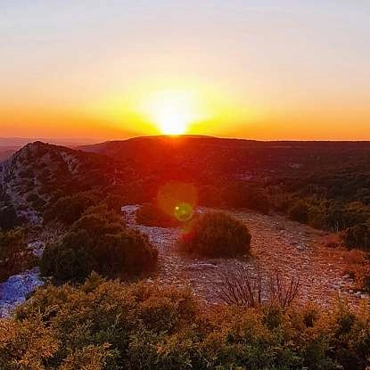 Coucher de soleil - Forêt des Cèdres du Luberon