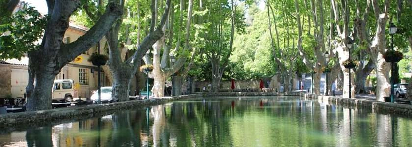 Étang de Cucuron (Bassin de l'étang)