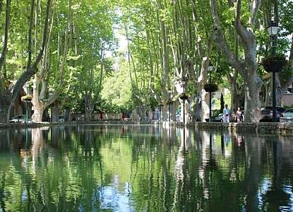 Étang de Cucuron (Bassin de l'étang)