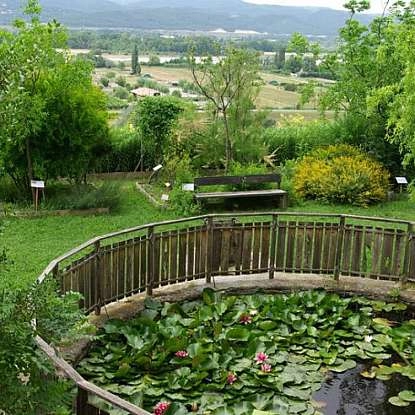 Visite du jardin de plantes tinctoriales à Lauris