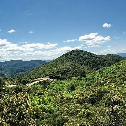 Randonnées dans le Luberon organisées par Chemins du Sud