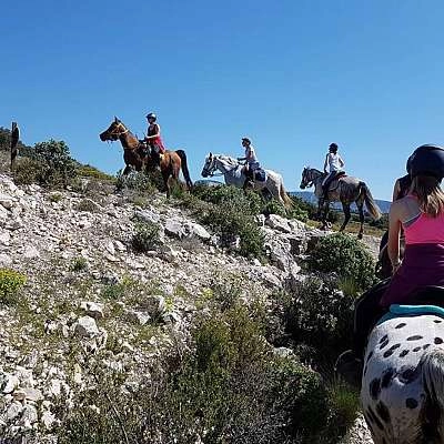 Balades à cheval & poney