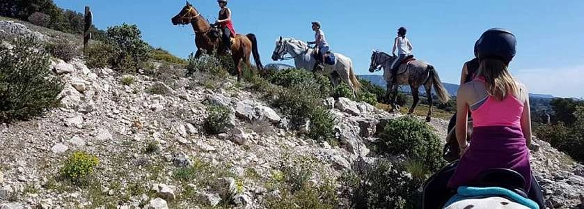 Balades à cheval & poney