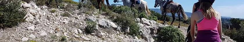 Balades à cheval & poney