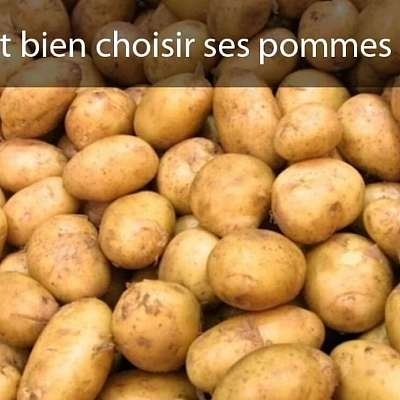 Astuces pour bien choisir ses pommes de terre