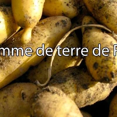 La pomme de terre de Pertuis
