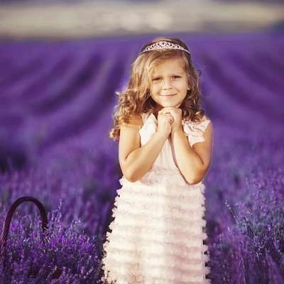 Château du Bois producteur et distillateur de Lavande