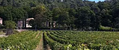 Domaines viticoles et caves du Luberon