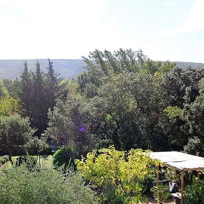 jardin-min.jpg