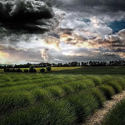 Paysages du Luberon par Yann Thibault