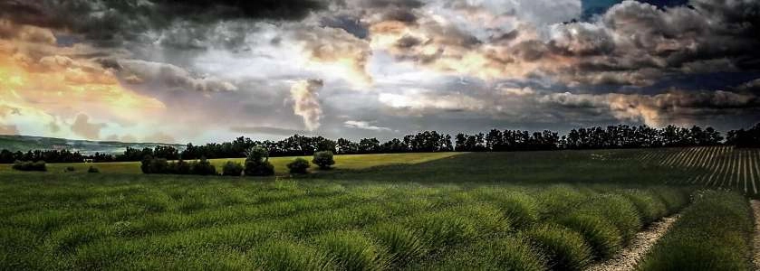 Paysages du Luberon par Yann Thibault