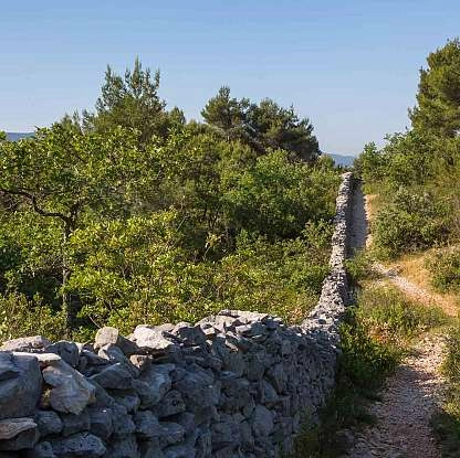 Mur de la Peste