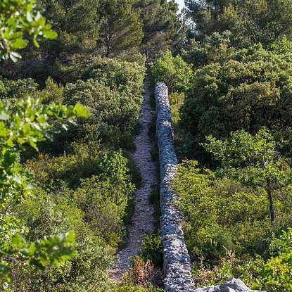 Mur de la Peste