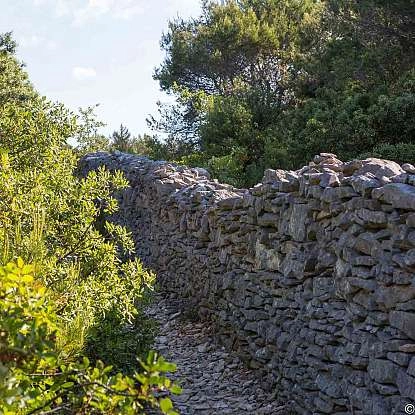 Mur de la Peste