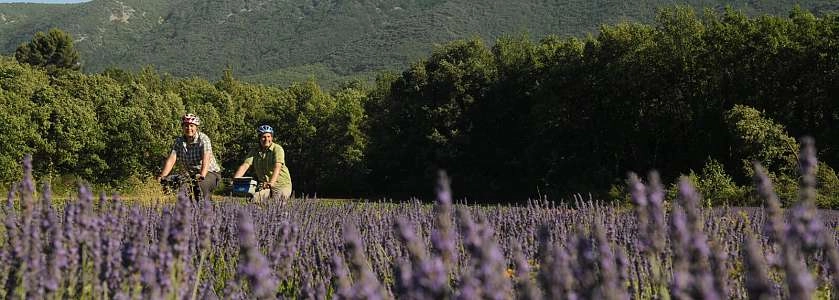 Luberon à vélo