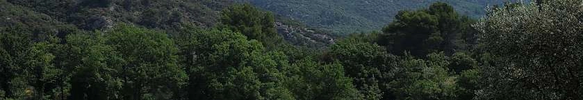 Entre Puyvert et Lourmarin