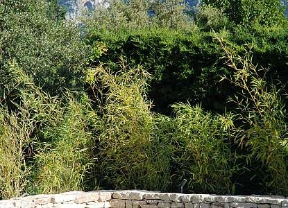 La-maison-magnarelles-luberon.com piscine et Luberon.jpg