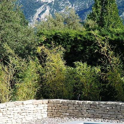 La-maison-magnarelles-luberon.com piscine et Luberon.jpg