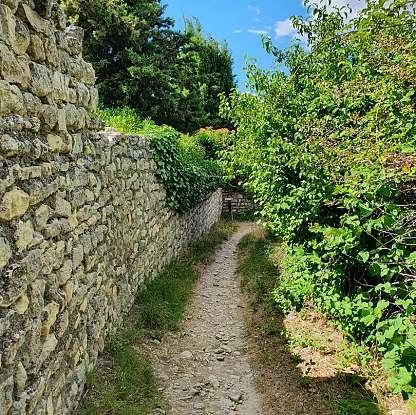 20210716_105547.jpg