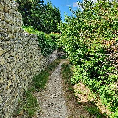 20210716_105550.jpg