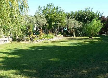 JARDIN SEPT 2019 006.JPG