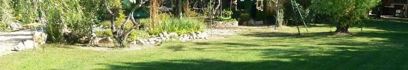 JARDIN SEPT 2019 006.JPG