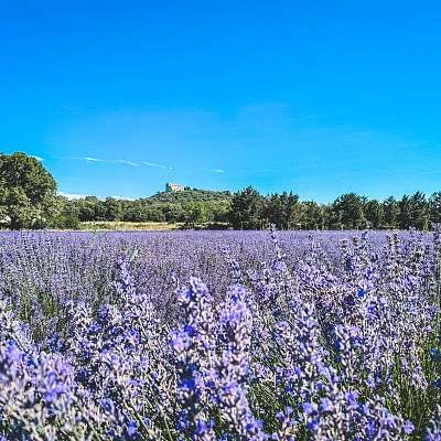 Isle sur la Sorgue Tourisme : une destination à vivre toute l’année !