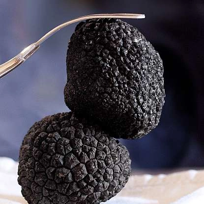 truffle-gc8dca76f9_1280.jpg