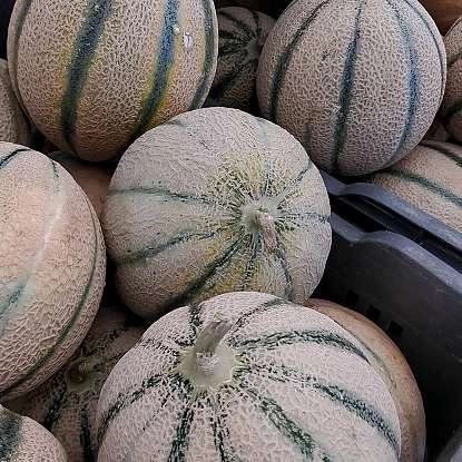 92_2JeeaY_7_IMG-20190804-WA0002.jpg