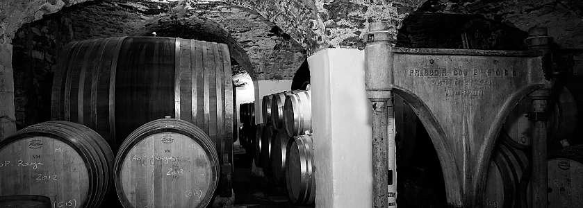 Château la Canorgue cave élevage (copyright Estellane photo).jpg