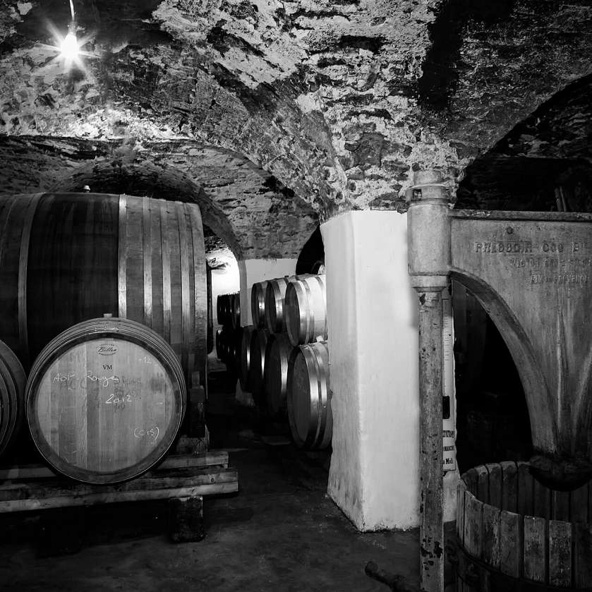 Château la Canorgue cave élevage (copyright Estellane photo).jpg