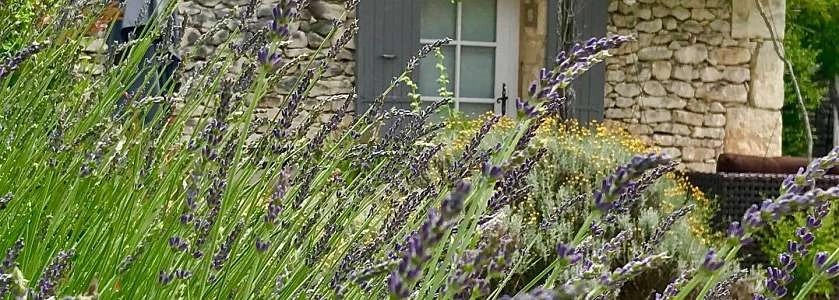 119_1zmGJi_3_terrasse P.JPG