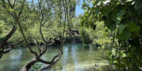 Les animaux aquatiques de la Sorgue