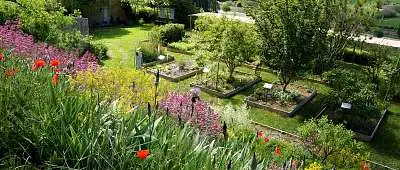 Forêt, parcs et jardins