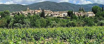 Aix-en-Provence : Visite d'une jounée dans le Luberon avec dégustation de vins