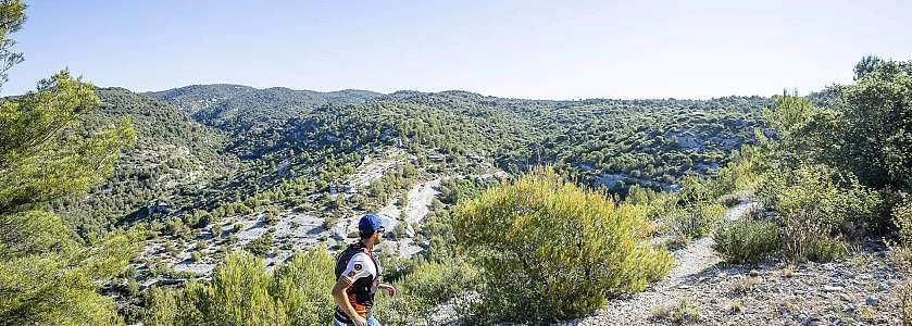 Trail dans le Luberon et les Monts de Vaucluse