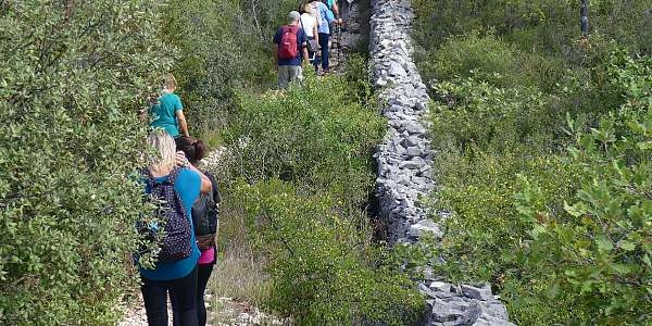 Balade commentée sur la pierre sèche à Cabrières d'Avignon